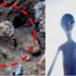 Alien On Mars Discovery: UFO Crash Landing And Statues Found On Red Planet